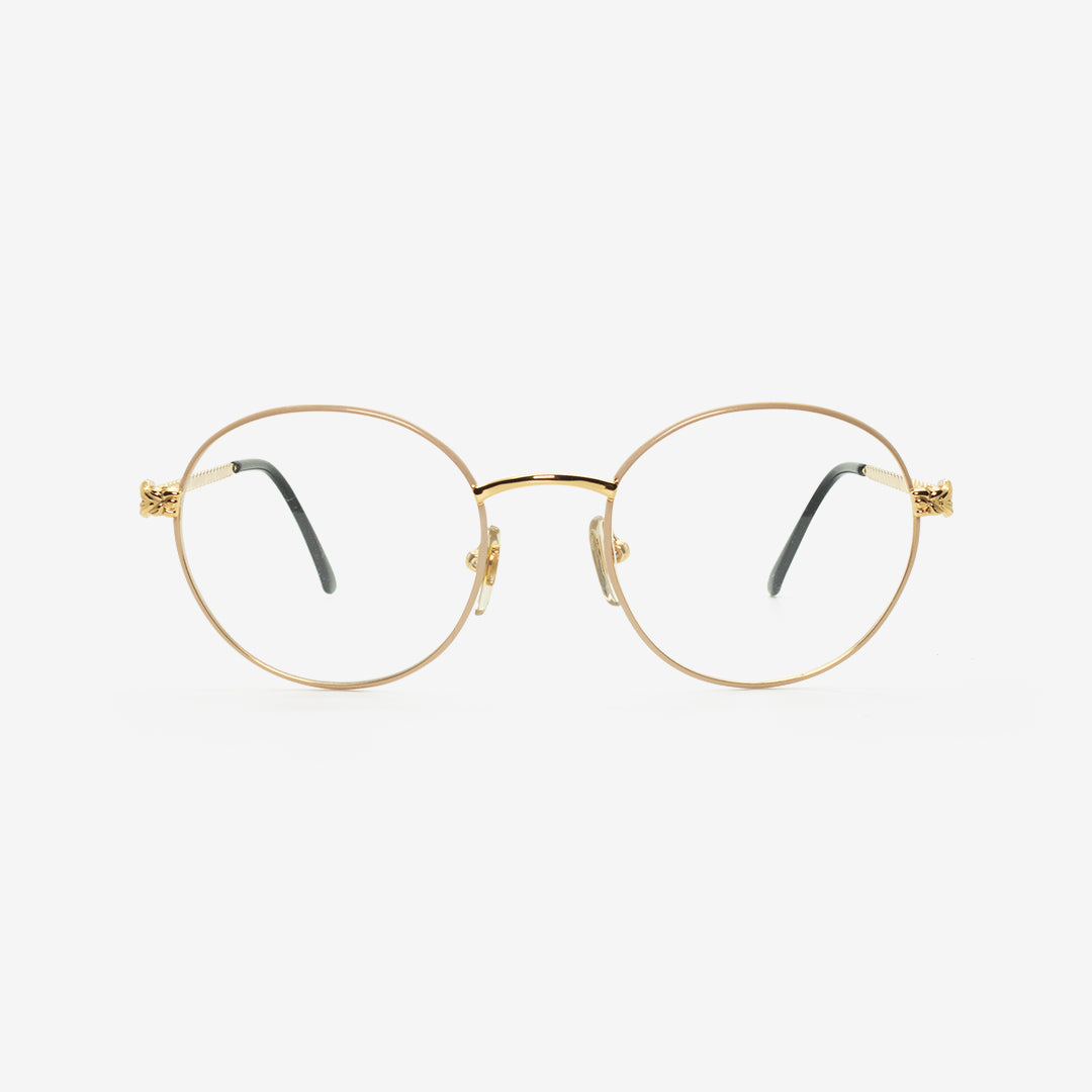 Gianfranco Ferré Glasses GFF237