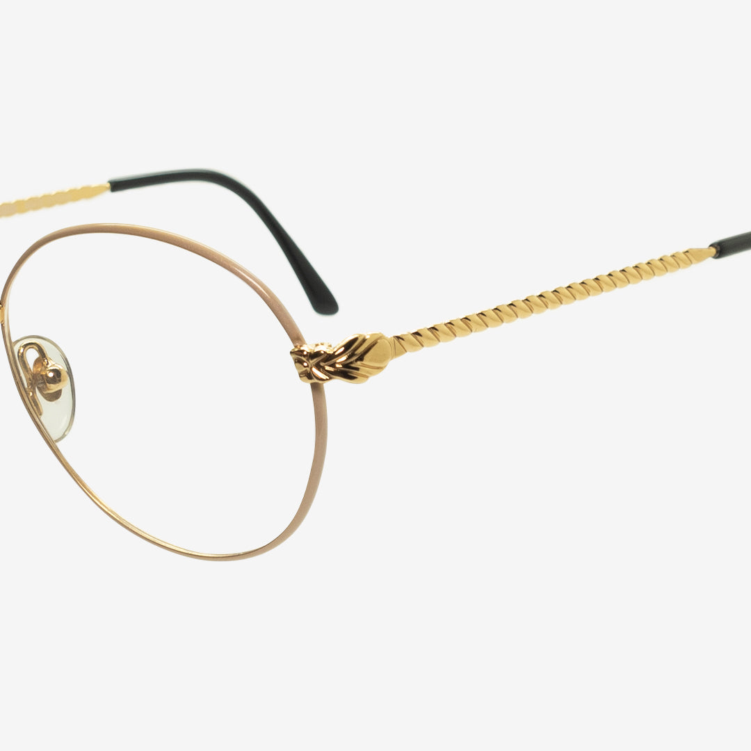 Gianfranco Ferré Glasses GFF237