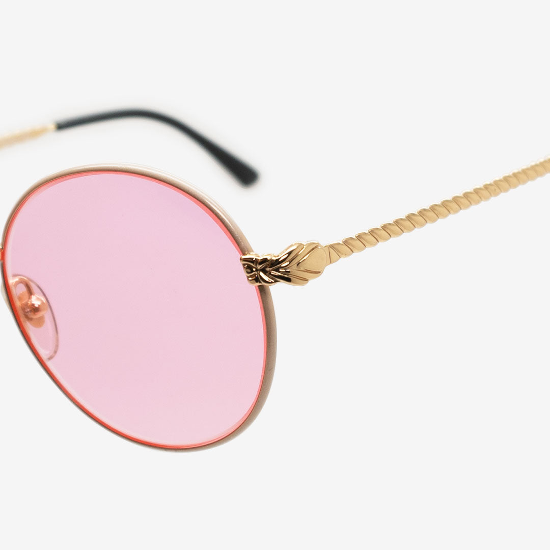 Gianfranco Ferré Glasses GFF237