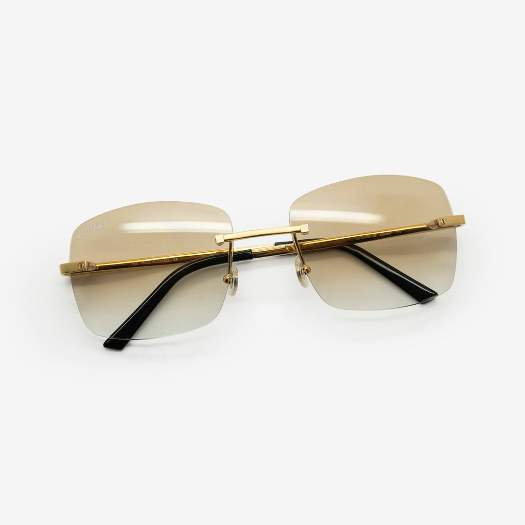 Cartier santos frames hot sale